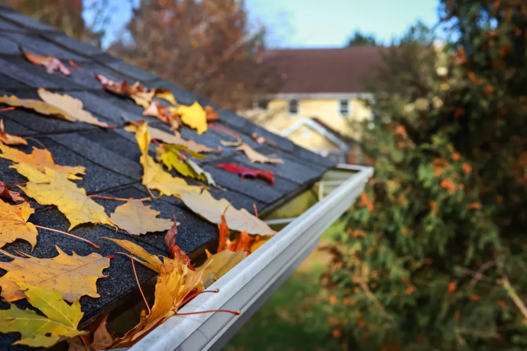 Gutters after rain on the roof with fallen leaves on an autumn evening