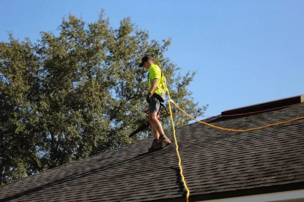 A roofer inspects a shingle roof to determine the best cleaning method