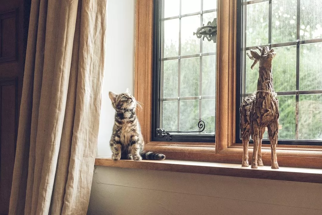 A cat and a piece of home decor shaped as a deer sit on a window sill, looking out wood windows