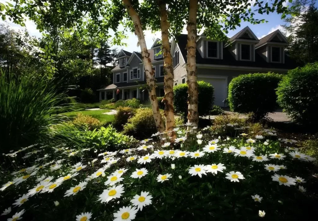 A large home surrounded by a beautiful landscaping job with grasses, daisies, trees, and bushes.