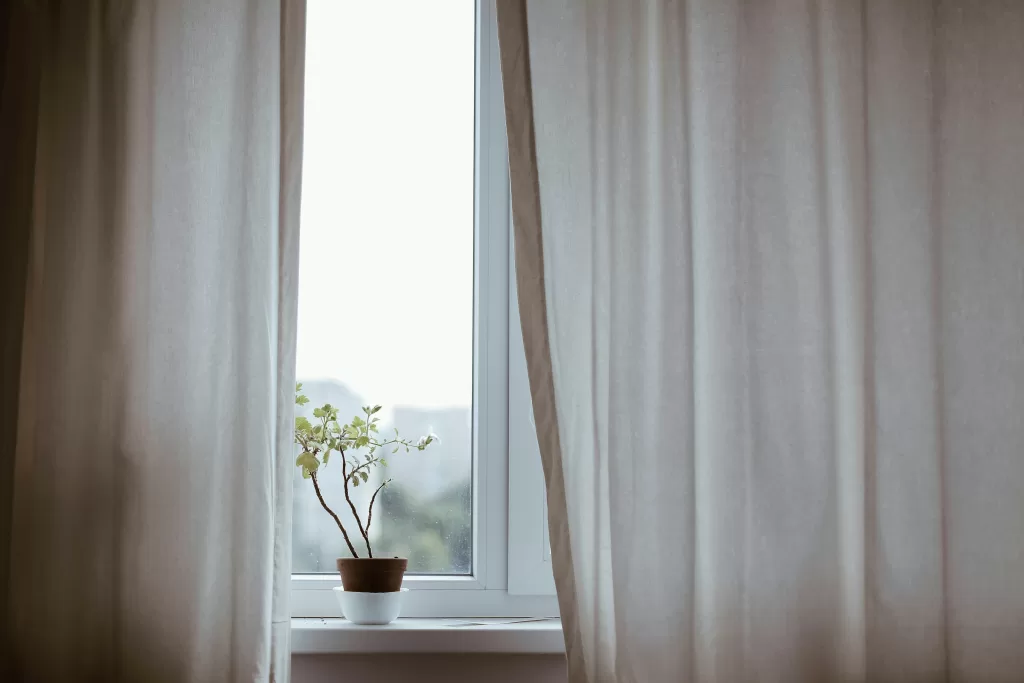Wonderful double-paned windows draped with curtains and a cool potted plant on the windowsill.